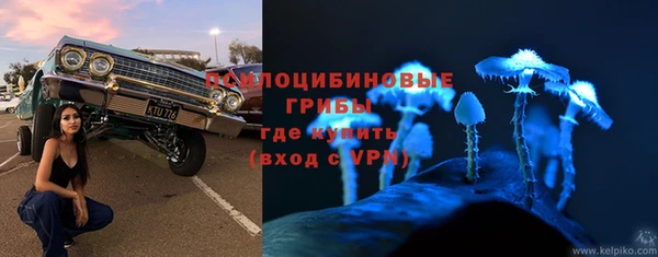СК Алзамай