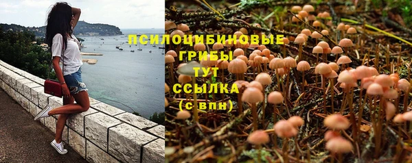 спайс Армянск