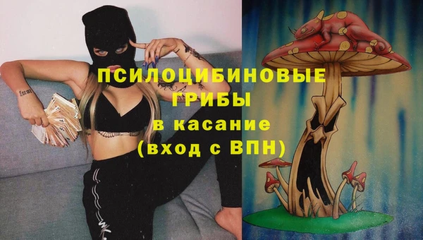 мдпв Арсеньев
