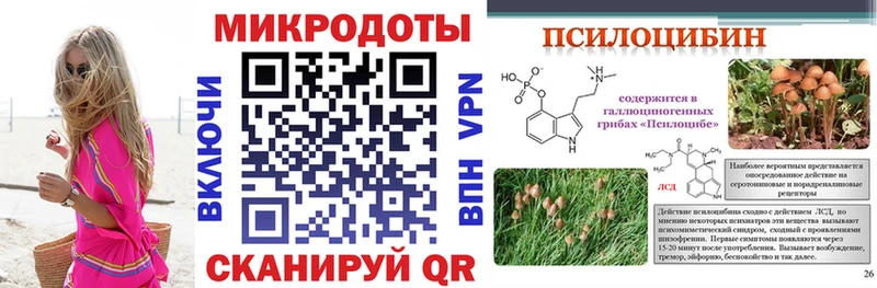 blacksprut ссылка Темрюк Галлюциногенные грибы мухоморы